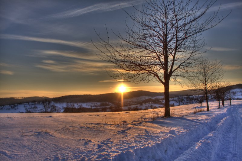 Winter 18.12.2010_3.JPG